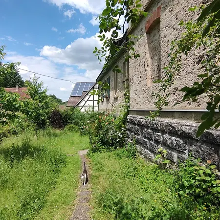 Alte Schule * Buchenbach